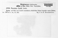 Image Associated With the Occurrence